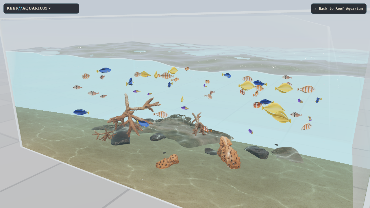 Reef Aquarium preview: a school of fifty small clownfish, blue tang, yellow tang, copperband butterflyfish, royal gramma and pajama cardinalfish in a sunlit tank with caustics on beige sand